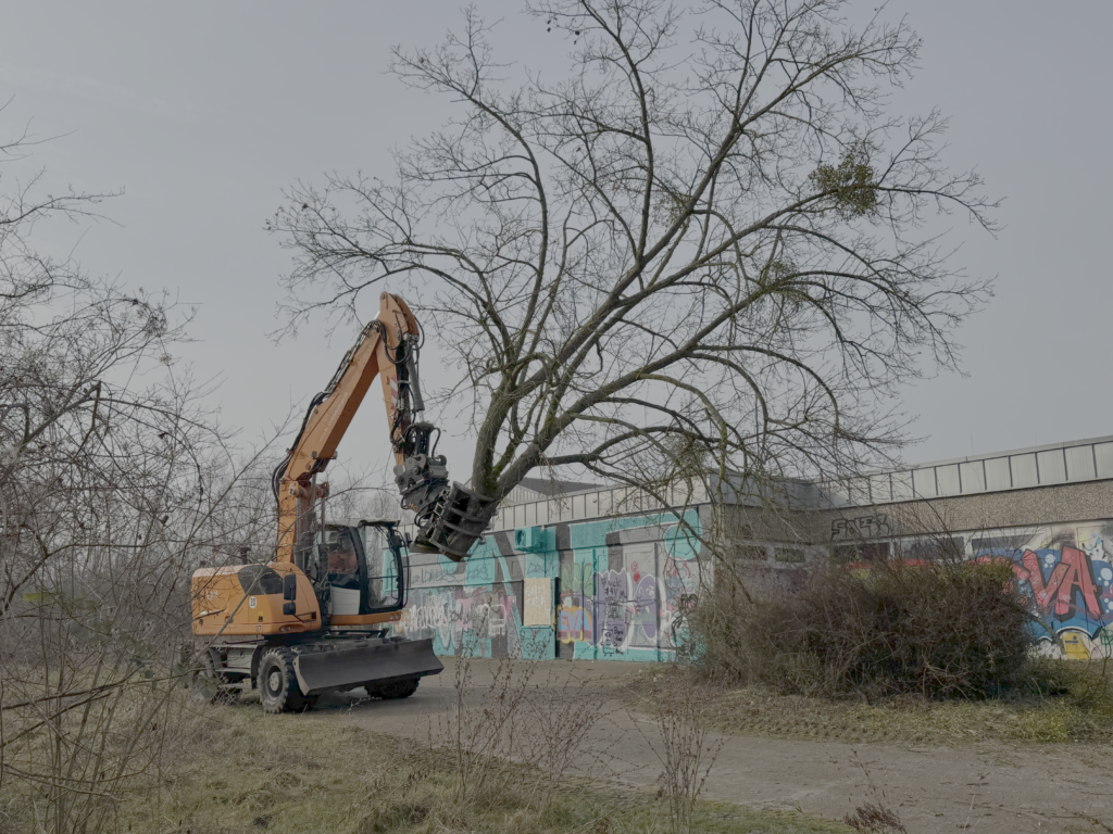 Der Bagger kann mit diesem "Sägegreifer" einen ganzen Baum abschneiden und abtransportieren. Das geht schneller als "altmodisch" mit der Kettensäge. (Foto: Martin Groth)