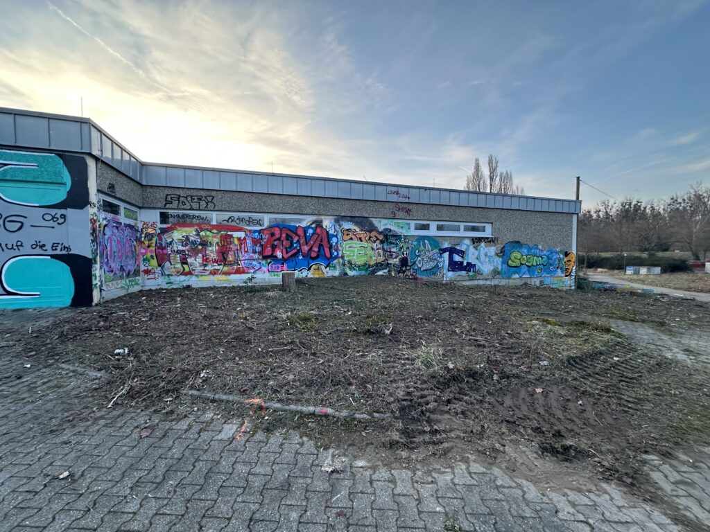 Rund um das alte Hallenbad der VG Rhein-Selz wurden am 21. Februar Bäume gefällt und Gestrüpp und Bewuchs gerodet, um den Zugang für den Abriss des Gebäudes freizumachen. (Foto: Andreas Lerg)