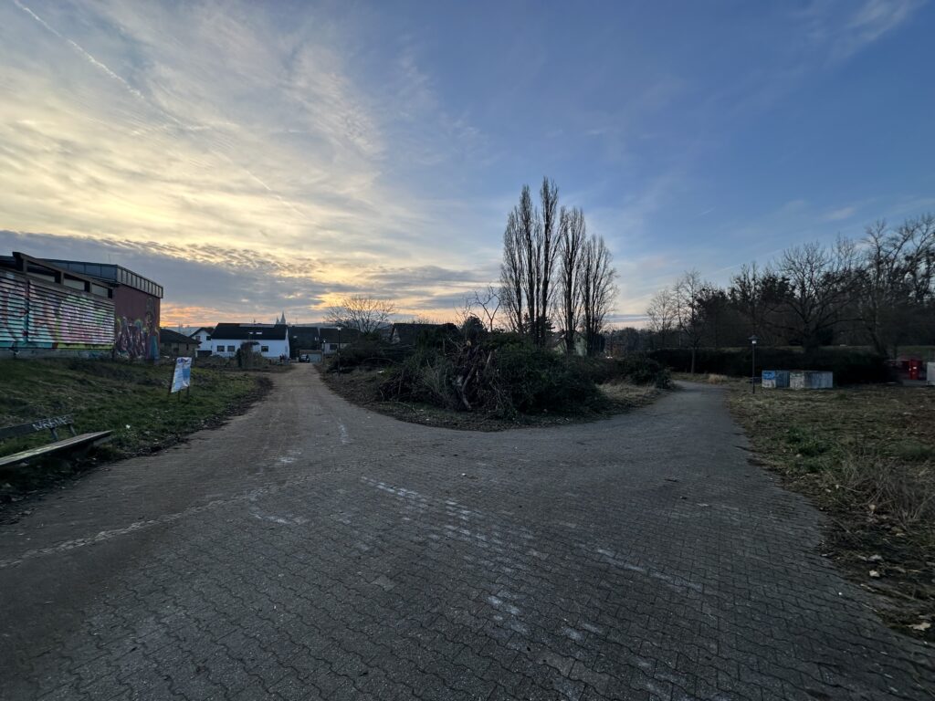 Rund um das alte Hallenbad der VG Rhein-Selz wurden am 21. Februar Bäume gefällt und Gestrüpp und Bewuchs gerodet, um den Zugang für den Abriss des Gebäudes freizumachen. (Foto: Andreas Lerg)