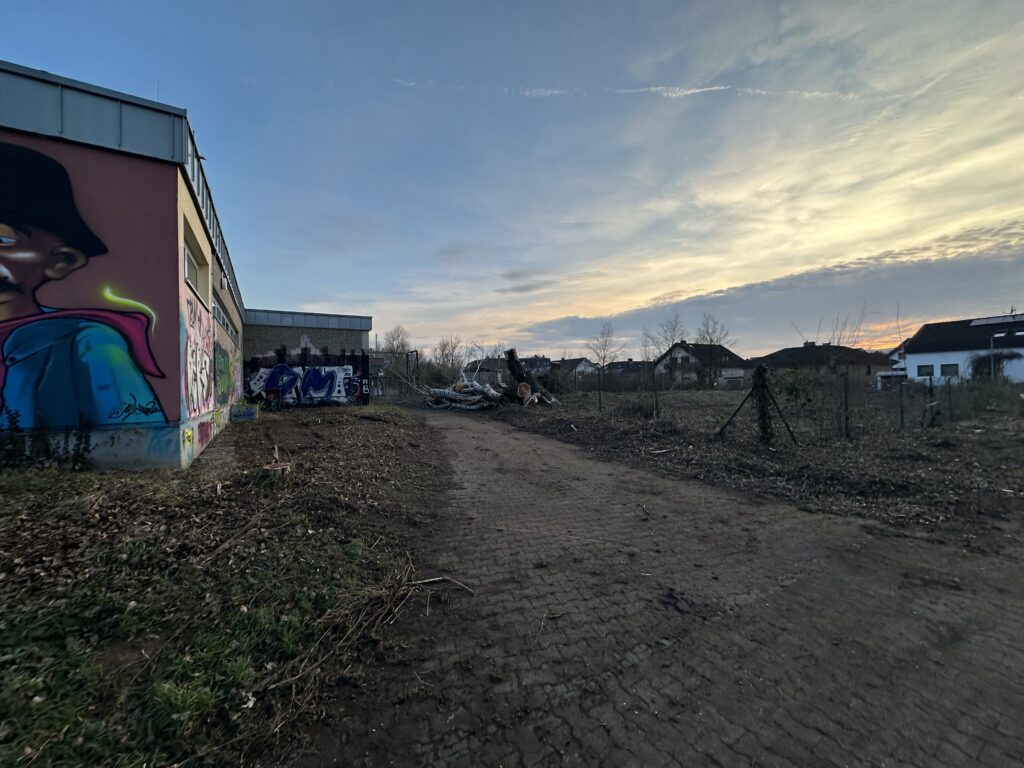 Rund um das alte Hallenbad der VG Rhein-Selz wurden am 21. Februar Bäume gefällt und Gestrüpp und Bewuchs gerodet, um den Zugang für den Abriss des Gebäudes freizumachen. (Foto: Andreas Lerg)