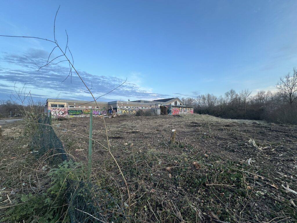 Rund um das alte Hallenbad der VG Rhein-Selz wurden am 21. Februar Bäume gefällt und Gestrüpp und Bewuchs gerodet, um den Zugang für den Abriss des Gebäudes freizumachen. (Foto: Andreas Lerg)