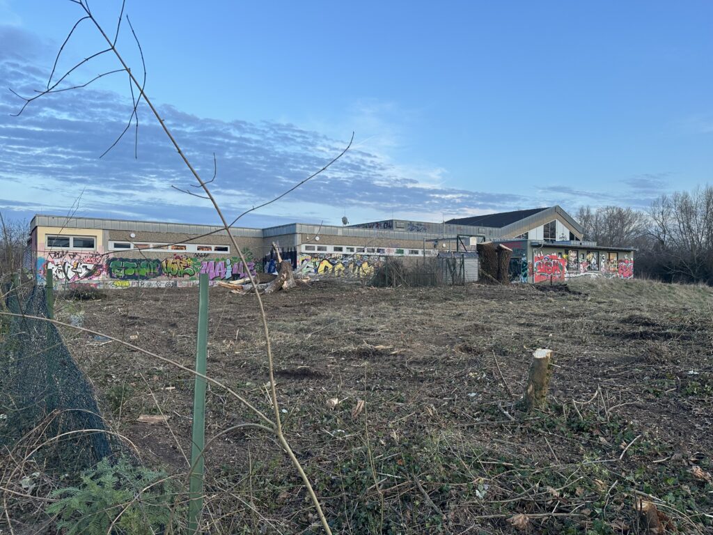 Rund um das alte Hallenbad der VG Rhein-Selz wurden am 21. Februar Bäume gefällt und Gestrüpp und Bewuchs gerodet, um den Zugang für den Abriss des Gebäudes freizumachen. (Foto: Andreas Lerg)