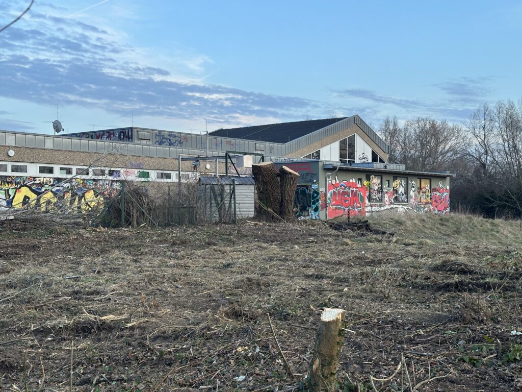 Rund um das alte Hallenbad der VG Rhein-Selz wurden am 21. Februar Bäume gefällt und Gestrüpp und Bewuchs gerodet, um den Zugang für den Abriss des Gebäudes freizumachen. (Foto: Andreas Lerg)