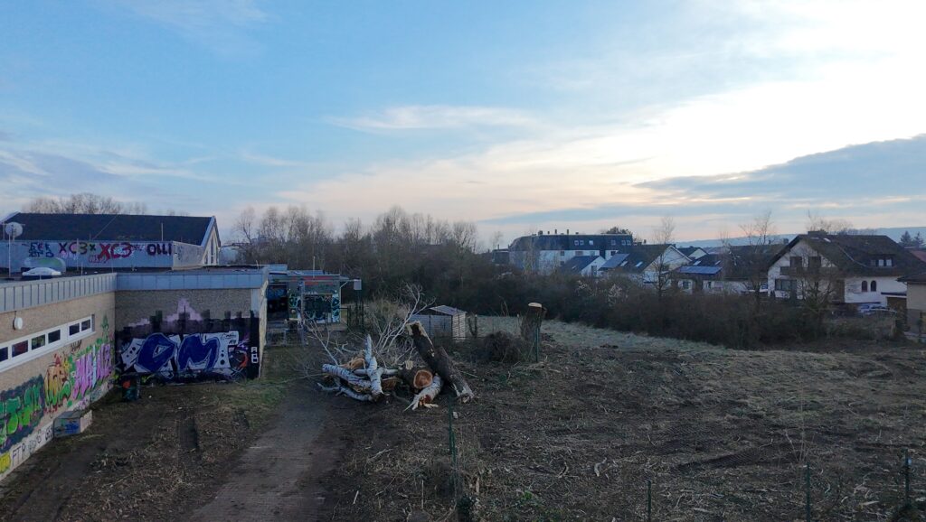 Rund um das alte Hallenbad der VG Rhein-Selz wurden am 21. Februar Bäume gefällt und Gestrüpp und Bewuchs gerodet, um den Zugang für den Abriss des Gebäudes freizumachen. (Foto: Andreas Lerg)