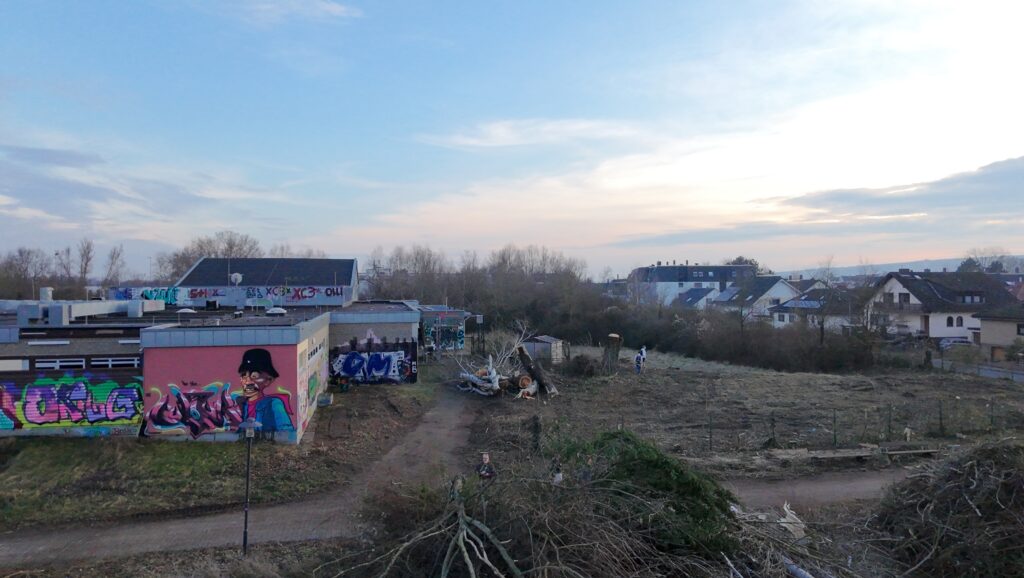 Rund um das alte Hallenbad der VG Rhein-Selz wurden am 21. Februar Bäume gefällt und Gestrüpp und Bewuchs gerodet, um den Zugang für den Abriss des Gebäudes freizumachen. (Foto: Andreas Lerg)