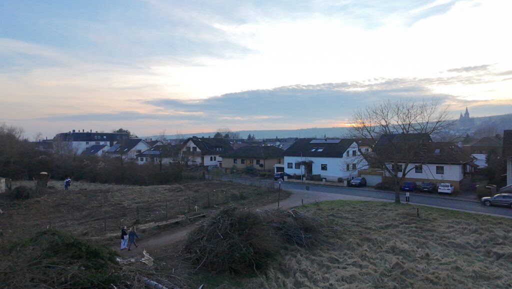 Rund um das alte Hallenbad der VG Rhein-Selz wurden am 21. Februar Bäume gefällt und Gestrüpp und Bewuchs gerodet, um den Zugang für den Abriss des Gebäudes freizumachen. (Foto: Andreas Lerg)