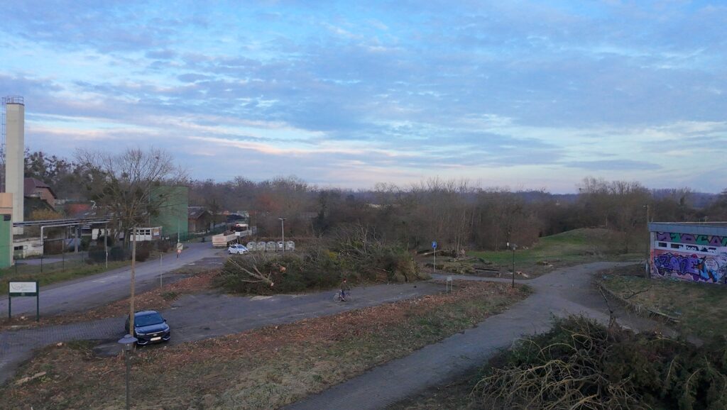 Rund um das alte Hallenbad der VG Rhein-Selz wurden am 21. Februar Bäume gefällt und Gestrüpp und Bewuchs gerodet, um den Zugang für den Abriss des Gebäudes freizumachen. (Foto: Andreas Lerg)